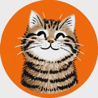 Милота: кошки, собаки, капибары, весёлые животные, забавные и смешные видео