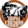 38  rus .Дары  сибири