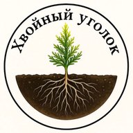 Хвойный уголок - питомник на Волге
