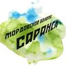 Мордовское болото — Саранск