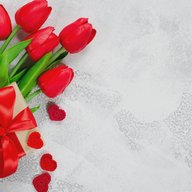 Поздравления на каждый день