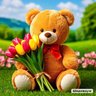 Живые открытки