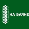 НА БАЯНЕ