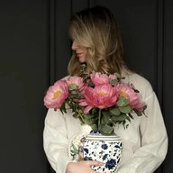 Главная по тарелочкам