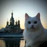 НОВОСТИ ЙОШКАР-ОЛА МАРИЙ ЭЛ
