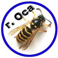 Оса | Осинский район, Пермский край - Объявления