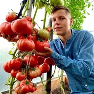 Помидорный рай с Борисом Сониным