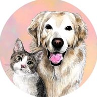 Хвостики 🐶  В мире животных : Кошки собаки попугаи обезьяны домашние животные хомяки еноты птицы рыбы лисы копибары кролики крысы еноты совы лошади ежики зверюшки малыши пушистики породистые кошки