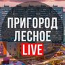 Пригород Лесное LIVE