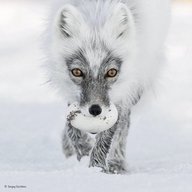 Природа России!