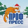Издательство «Проф-Пресс»
