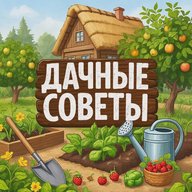 Дачные советы | Сад | Огород