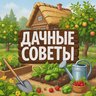 Дачные советы | Сад | Огород