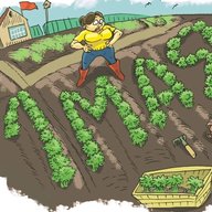 Умелая хозяйка