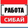 Работа Сибай