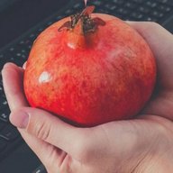 РЕЦЕПТЫ ДИЕТОЛОГА