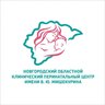 Новгородский перинатальный центр