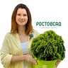 Садовый центр РОСТОВСАД