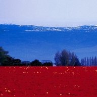 Россия Молодая