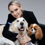 Киноблогер с хвостатыми | syilers