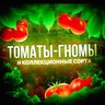 🌿🍅Томаты Гномы и коллекционные семена🌿🍅