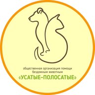 "УСАТЫЕ-ПОЛОСАТЫЕ" - помощь БЕЗДОМНЫМ животным