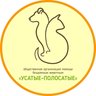 "УСАТЫЕ-ПОЛОСАТЫЕ" - помощь БЕЗДОМНЫМ животным
