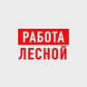 Работа Лесной