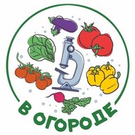 В Огороде