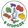 В Огороде