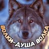 Волки-душа волка