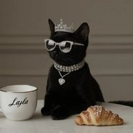 Все на WB/cтиль by Lashkina