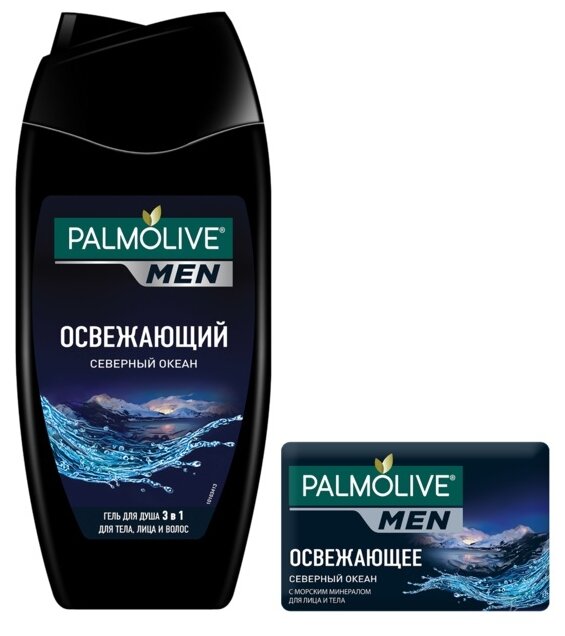 НАБОР PALMOLIVE MEN СЕВЕРНЫЙ ОКЕАН 250МЛ 
