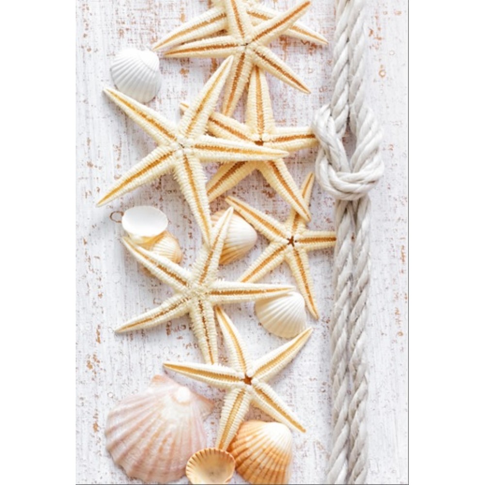 ПАНЕЛЬ ПВХ МОРСКОЙ БРИЗ КОМП.611/1 0,25Х2,6М (10ШТ)