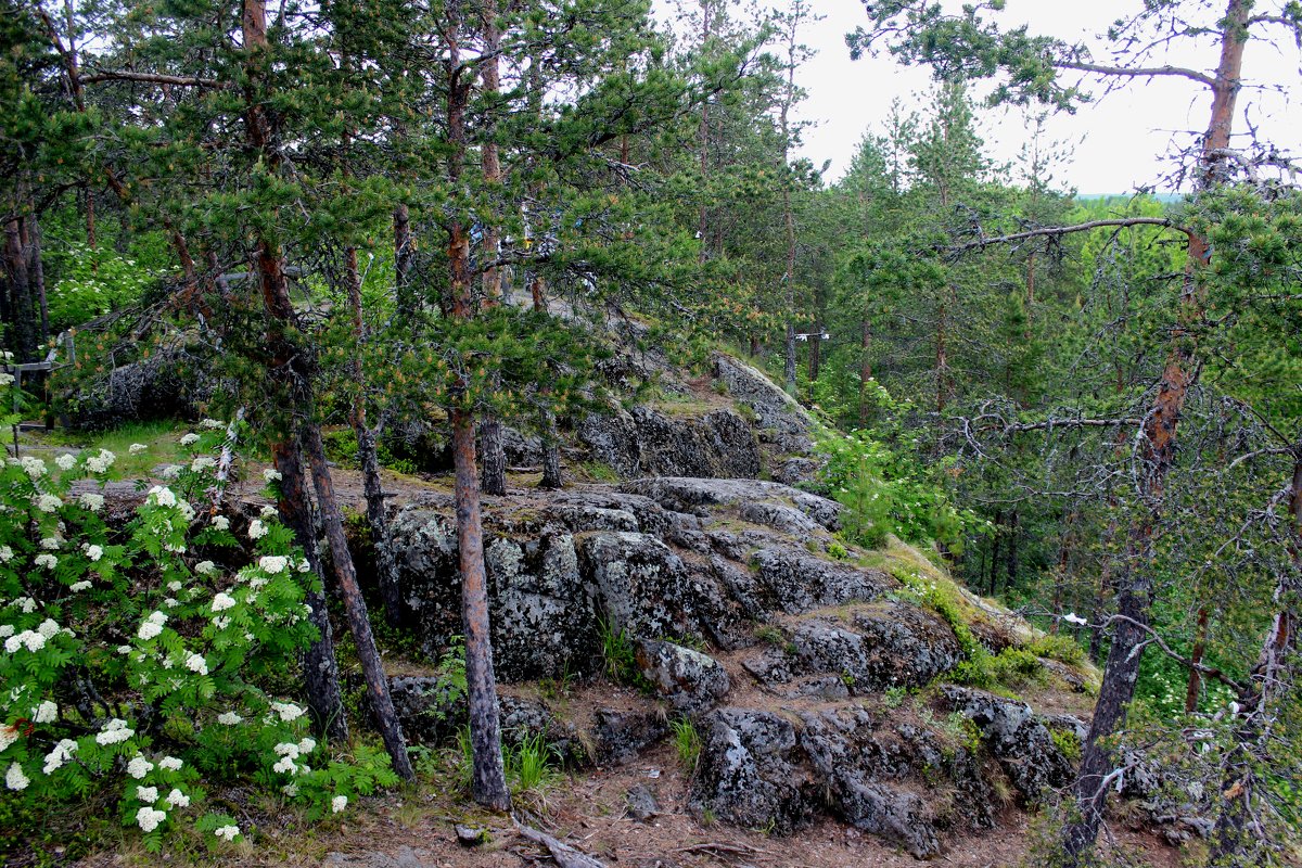 Гора Сампо