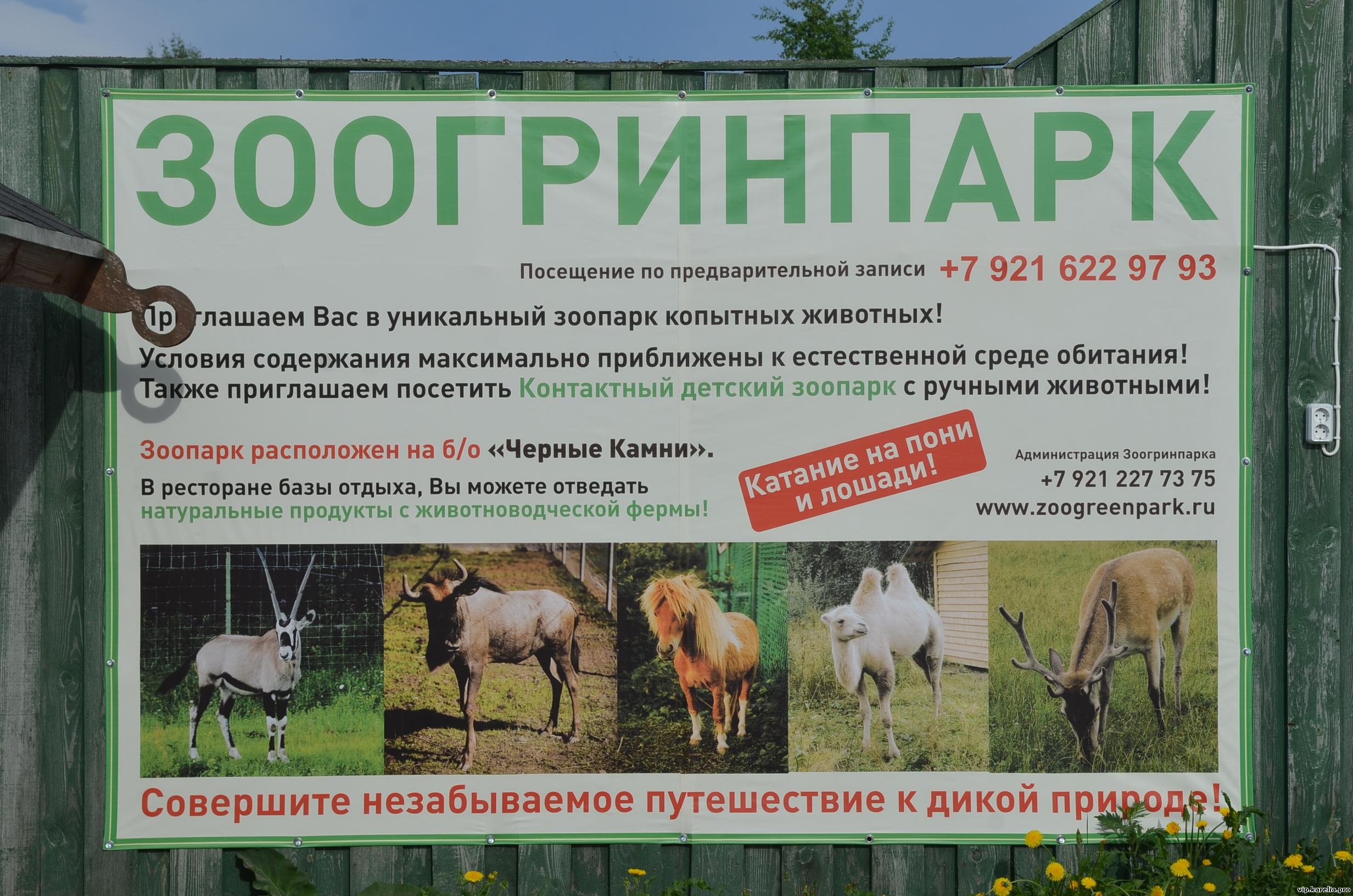 Карельский зоопарк «Черные камни»