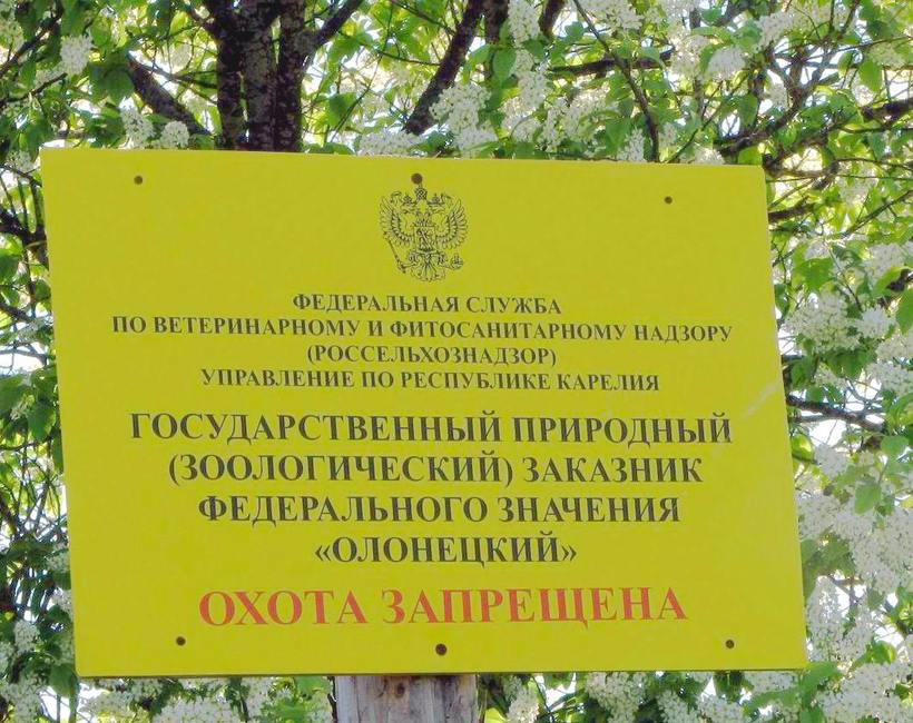 Зоологический заказник «Олонецкий»
