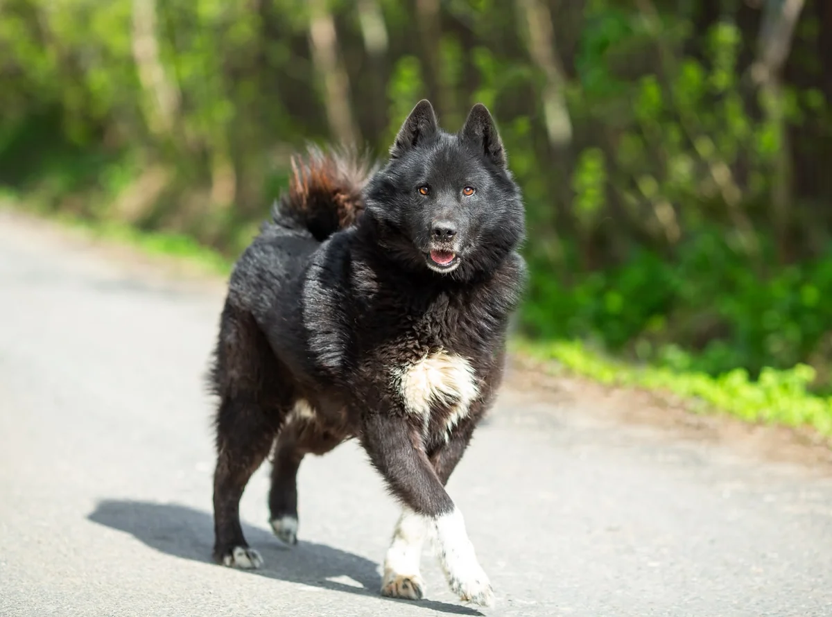 Фото 8