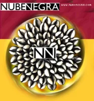 Nubenegra - изображение 1