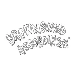 Brownswood Recordings - изображение 2