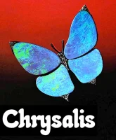Chrysalis - изображение 1