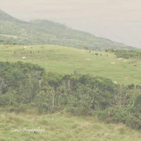 Canto Arquipélago