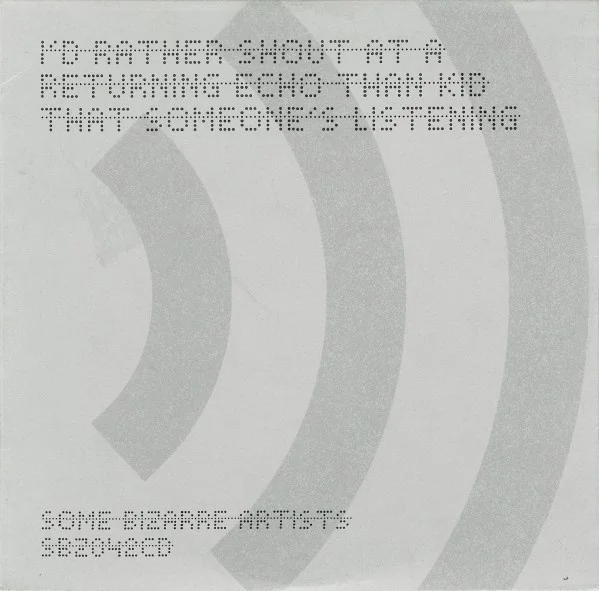 I'd Rather Shout At A Returning Echo Than Kid That Someone's Listening