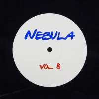 Volume 8