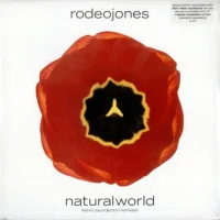 Natural World (Kevin Saunderson Remixes)