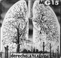 Derecho A La Vida