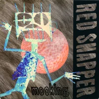 Mooking