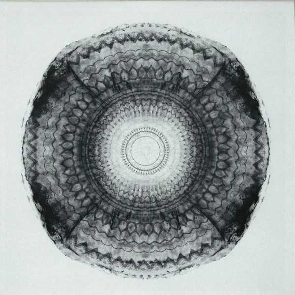 Sycomore