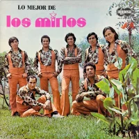 Lo Mejor De Los Mirlos