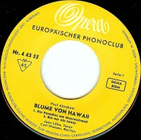 Blume Von Hawaii